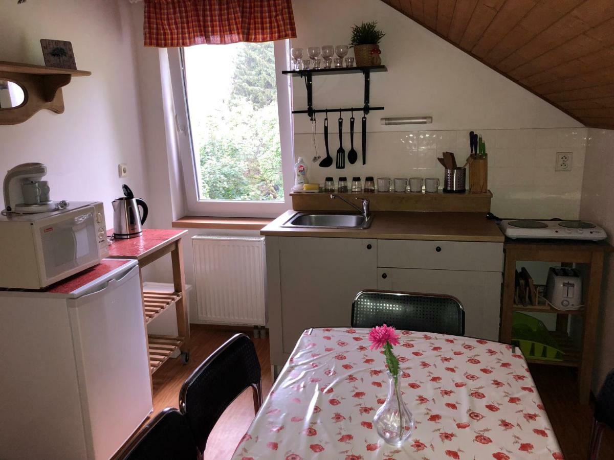 Apartmany U Kamenky Vrchlabí Extérieur photo
